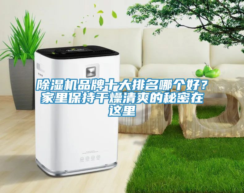 除濕機(jī)品牌十大排名哪個(gè)好？家里保持干燥清爽的秘密在這里