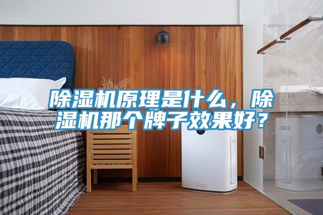 除濕機(jī)原理是什么，除濕機(jī)那個(gè)牌子效果好？