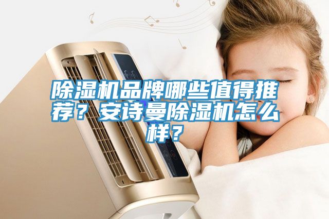 除濕機(jī)品牌哪些值得推薦？安詩曼除濕機(jī)怎么樣？