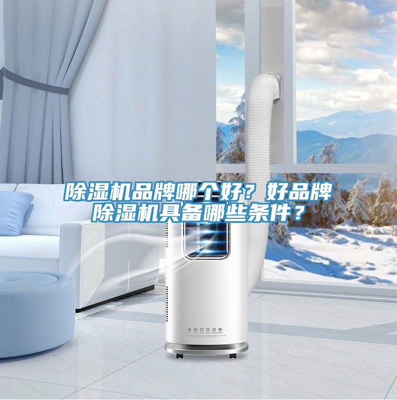 除濕機(jī)品牌哪個(gè)好？好品牌除濕機(jī)具備哪些條件？