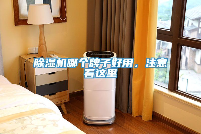 除濕機(jī)哪個(gè)牌子好用，注意看這里