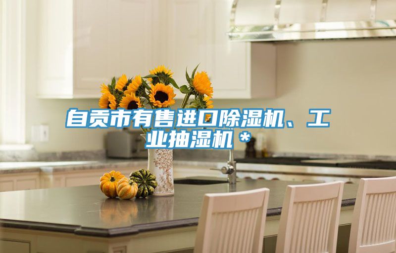 自貢市有售進口除濕機、工業(yè)抽濕機＊