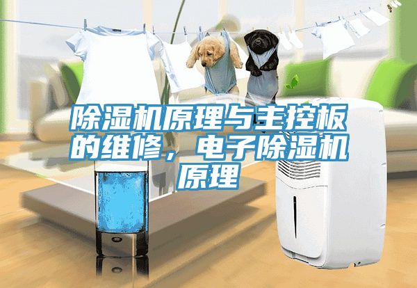 除濕機(jī)原理與主控板的維修，電子除濕機(jī)原理