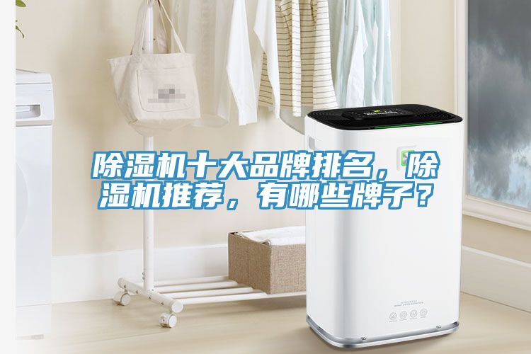 除濕機(jī)十大品牌排名，除濕機(jī)推薦，有哪些牌子？