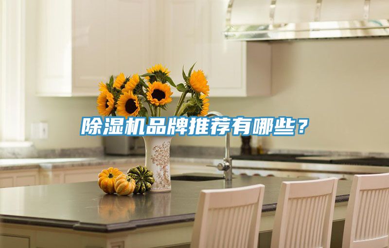 除濕機品牌推薦有哪些？