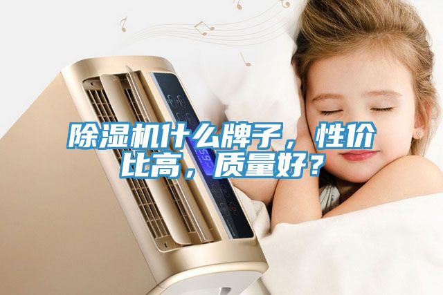 除濕機什么牌子，性價比高，質(zhì)量好？