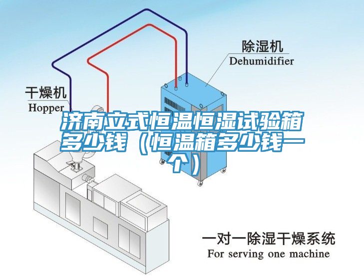 濟(jì)南立式恒溫恒濕試驗(yàn)箱多少錢（恒溫箱多少錢一個）