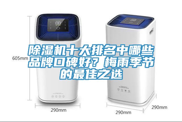 除濕機(jī)十大排名中哪些品牌口碑好？梅雨季節(jié)的最佳之選