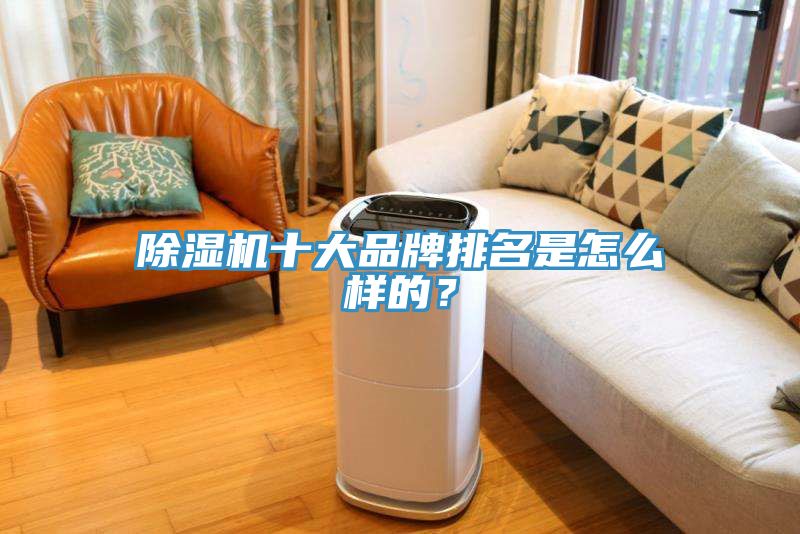除濕機(jī)十大品牌排名是怎么樣的？
