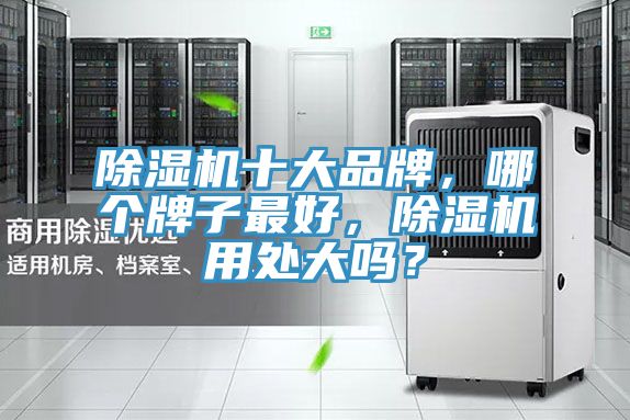 除濕機(jī)十大品牌，哪個(gè)牌子最好，除濕機(jī)用處大嗎？