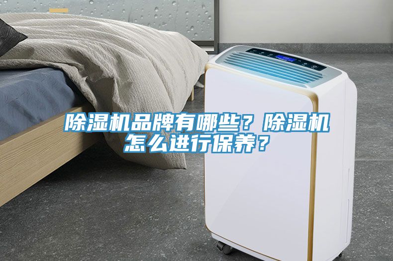除濕機品牌有哪些？除濕機怎么進行保養(yǎng)？