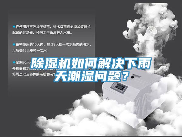 除濕機如何解決下雨天潮濕問題？
