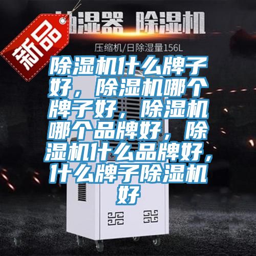除濕機(jī)什么牌子好，除濕機(jī)哪個(gè)牌子好，除濕機(jī)哪個(gè)品牌好，除濕機(jī)什么品牌好，什么牌子除濕機(jī)好