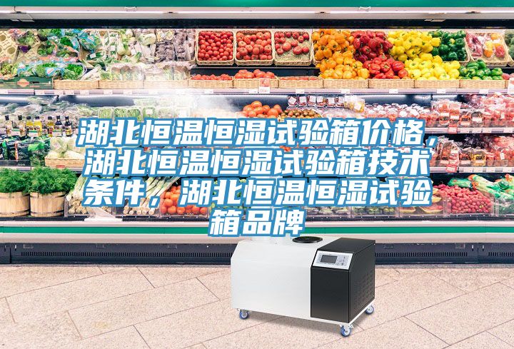 湖北恒溫恒濕試驗(yàn)箱價(jià)格，湖北恒溫恒濕試驗(yàn)箱技術(shù)條件，湖北恒溫恒濕試驗(yàn)箱品牌