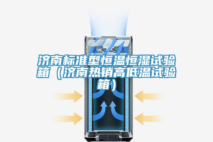 濟(jì)南標(biāo)準(zhǔn)型恒溫恒濕試驗(yàn)箱（濟(jì)南熱銷(xiāo)高低溫試驗(yàn)箱）