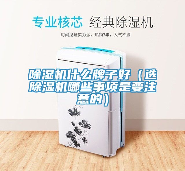 除濕機(jī)什么牌子好（選除濕機(jī)哪些事項是要注意的）