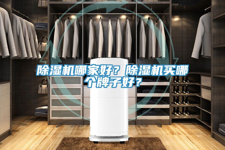 除濕機哪家好？除濕機買哪個牌子好？