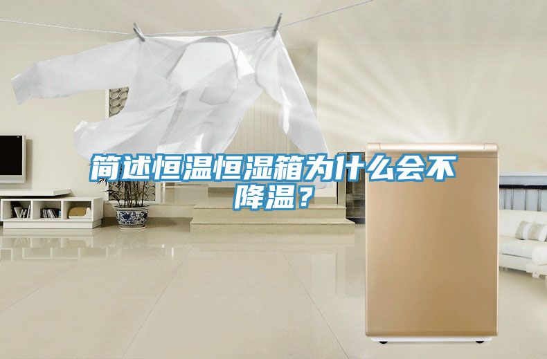簡述恒溫恒濕箱為什么會不降溫？