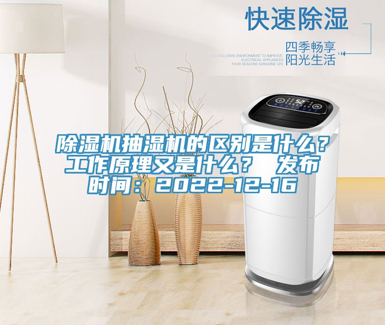 除濕機(jī)抽濕機(jī)的區(qū)別是什么？工作原理又是什么？ 發(fā)布時間：2022-12-16