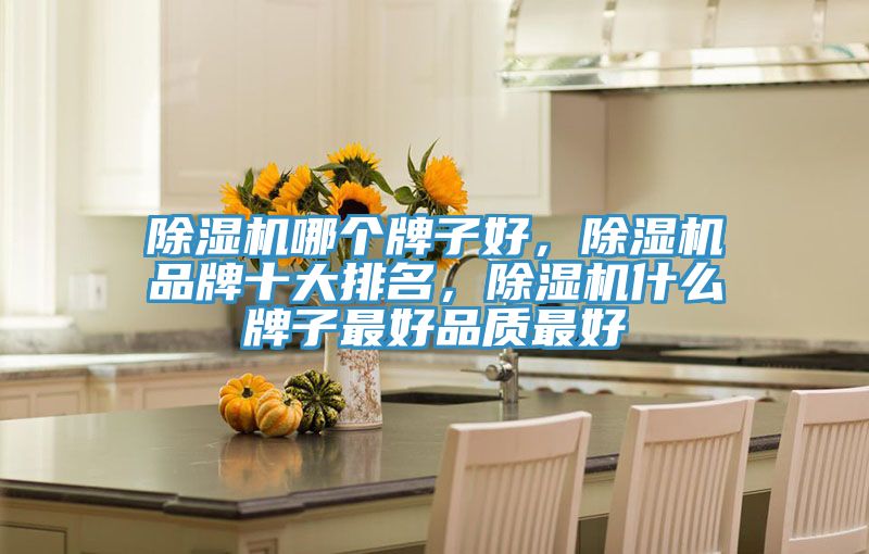除濕機哪個牌子好，除濕機品牌十大排名，除濕機什么牌子最好品質(zhì)最好