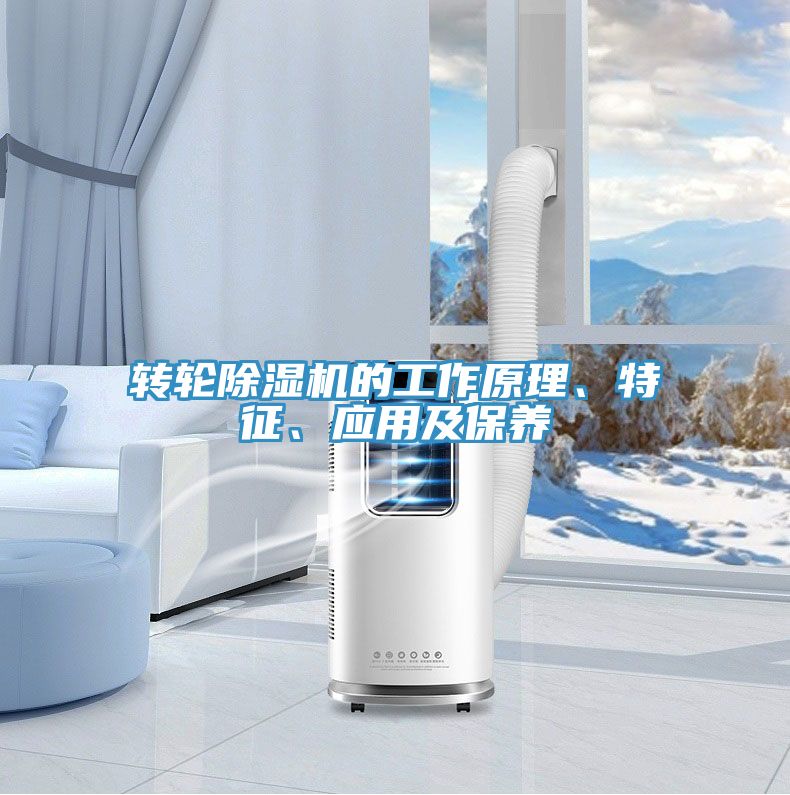 轉(zhuǎn)輪除濕機的工作原理、特征、應(yīng)用及保養(yǎng)