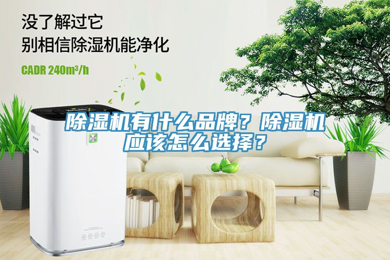 除濕機(jī)有什么品牌？除濕機(jī)應(yīng)該怎么選擇？