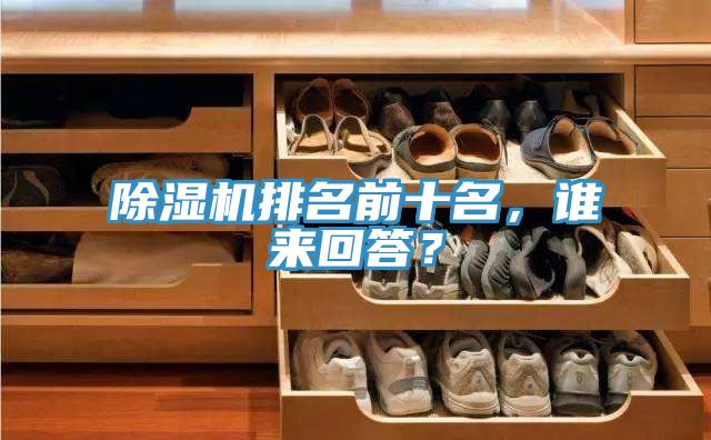 除濕機(jī)排名前十名，誰(shuí)來(lái)回答？