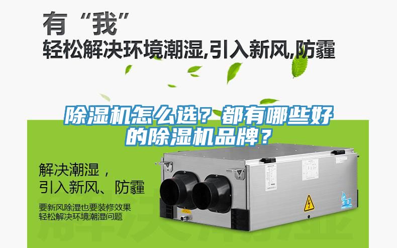 除濕機(jī)怎么選？都有哪些好的除濕機(jī)品牌？