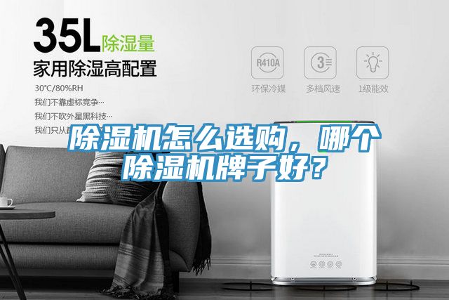 除濕機怎么選購，哪個除濕機牌子好？