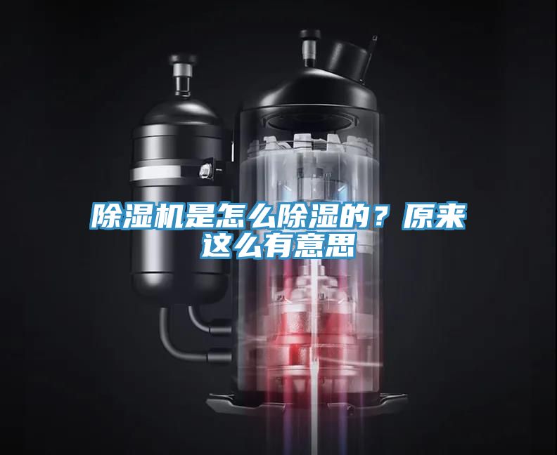 除濕機是怎么除濕的？原來這么有意思