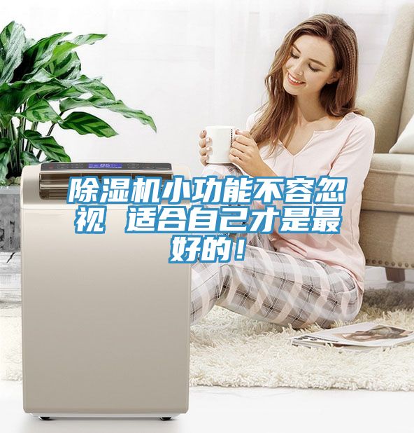 除濕機小功能不容忽視 適合自己才是最好的！