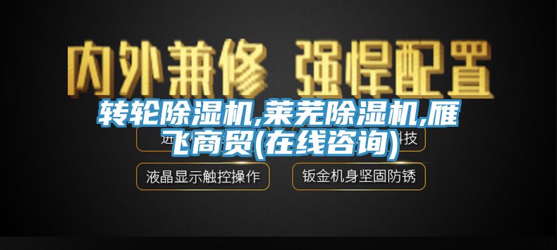 轉(zhuǎn)輪除濕機(jī),萊蕪除濕機(jī),雁飛商貿(mào)(在線(xiàn)咨詢(xún))