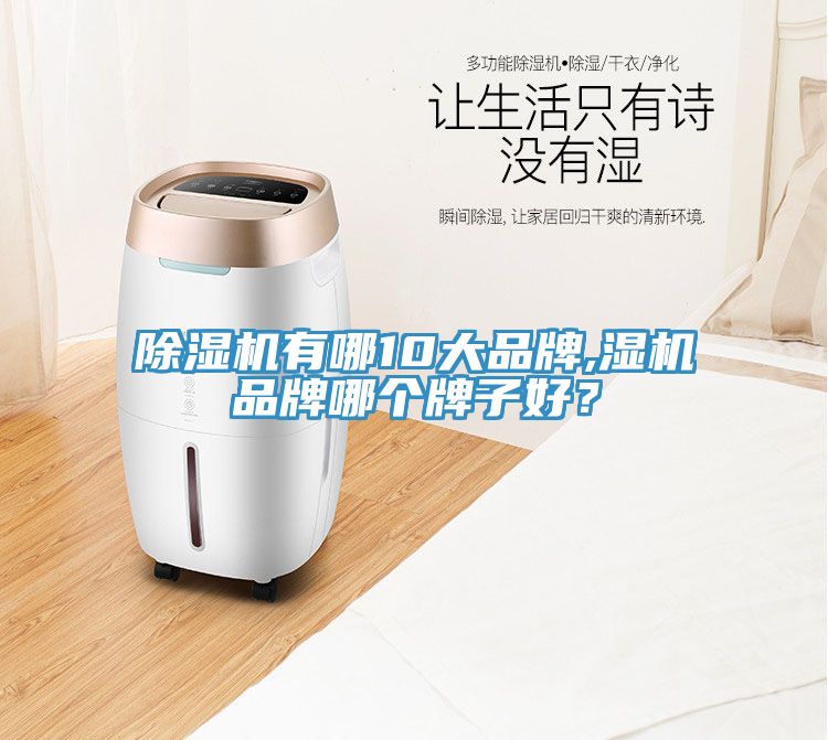 除濕機(jī)有哪10大品牌,濕機(jī)品牌哪個牌子好？