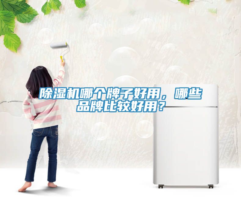 除濕機(jī)哪個牌子好用，哪些品牌比較好用？