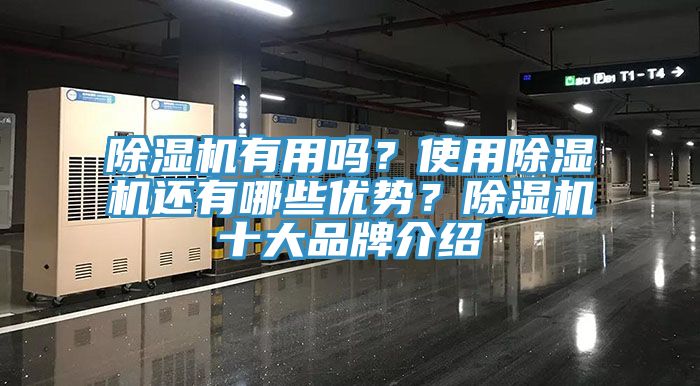 除濕機(jī)有用嗎？使用除濕機(jī)還有哪些優(yōu)勢？除濕機(jī)十大品牌介紹