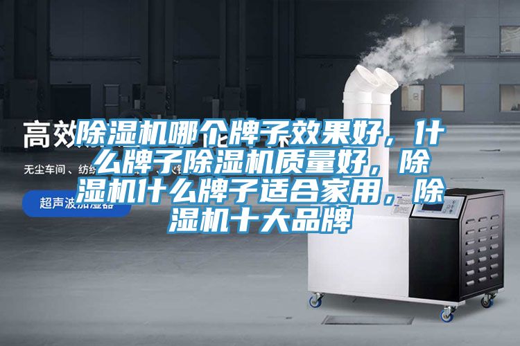 除濕機(jī)哪個(gè)牌子效果好，什么牌子除濕機(jī)質(zhì)量好，除濕機(jī)什么牌子適合家用，除濕機(jī)十大品牌