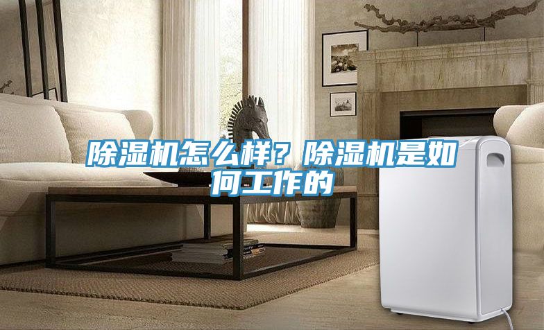 除濕機(jī)怎么樣？除濕機(jī)是如何工作的