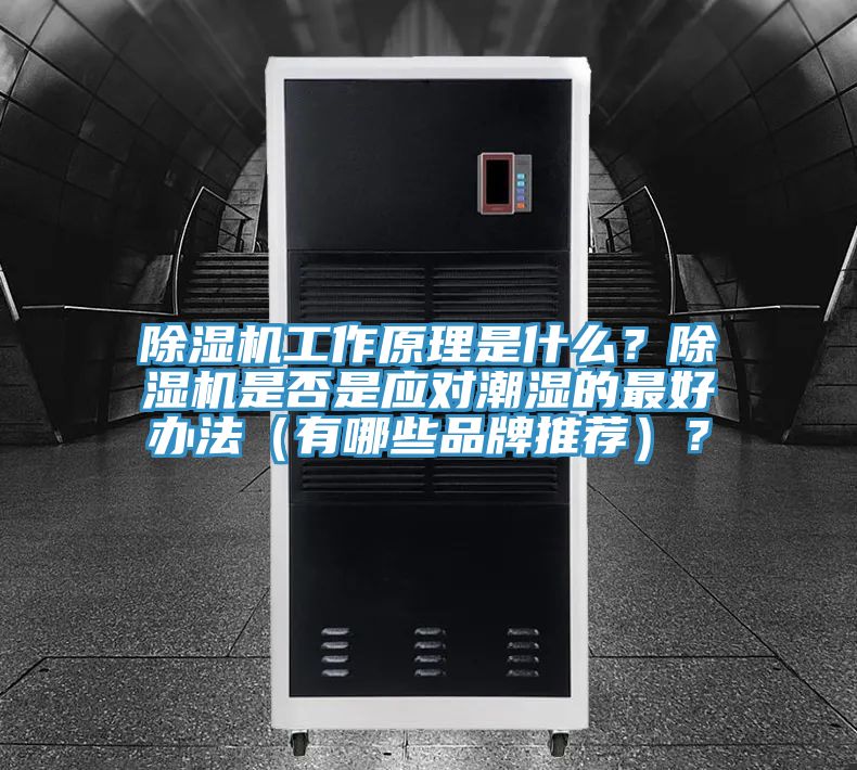 除濕機(jī)工作原理是什么？除濕機(jī)是否是應(yīng)對(duì)潮濕的最好辦法（有哪些品牌推薦）？