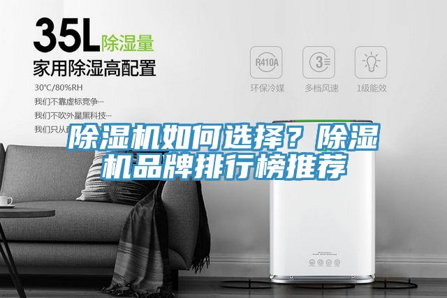 除濕機(jī)如何選擇？除濕機(jī)品牌排行榜推薦