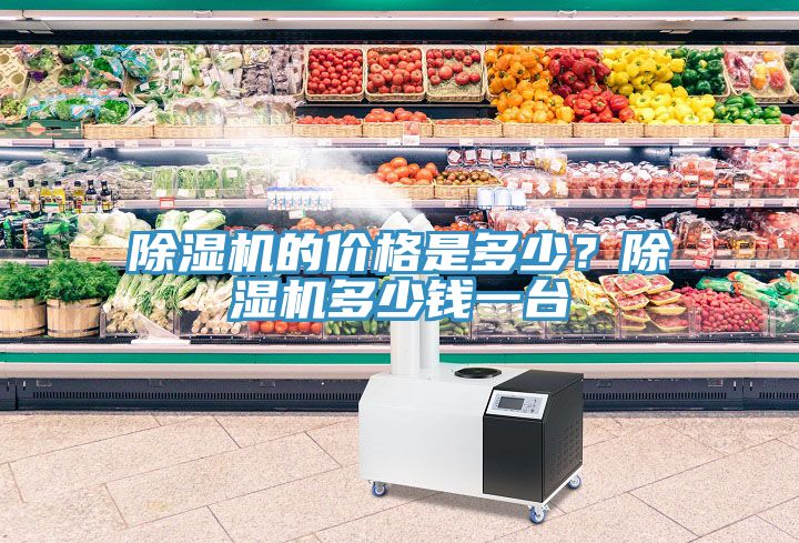 除濕機(jī)的價格是多少？除濕機(jī)多少錢一臺