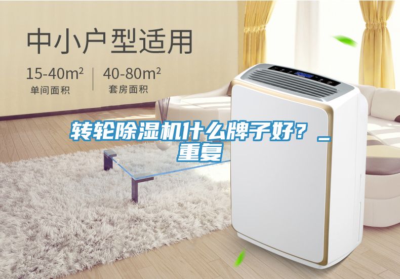 轉(zhuǎn)輪除濕機(jī)什么牌子好？_重復(fù)