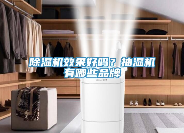 除濕機(jī)效果好嗎？抽濕機(jī)有哪些品牌