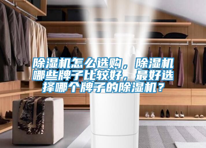除濕機怎么選購，除濕機哪些牌子比較好，最好選擇哪個牌子的除濕機？