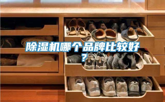 除濕機(jī)哪個(gè)品牌比較好？