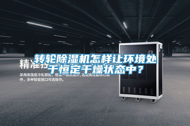 轉(zhuǎn)輪除濕機怎樣讓環(huán)境處于恒定干燥狀態(tài)中？