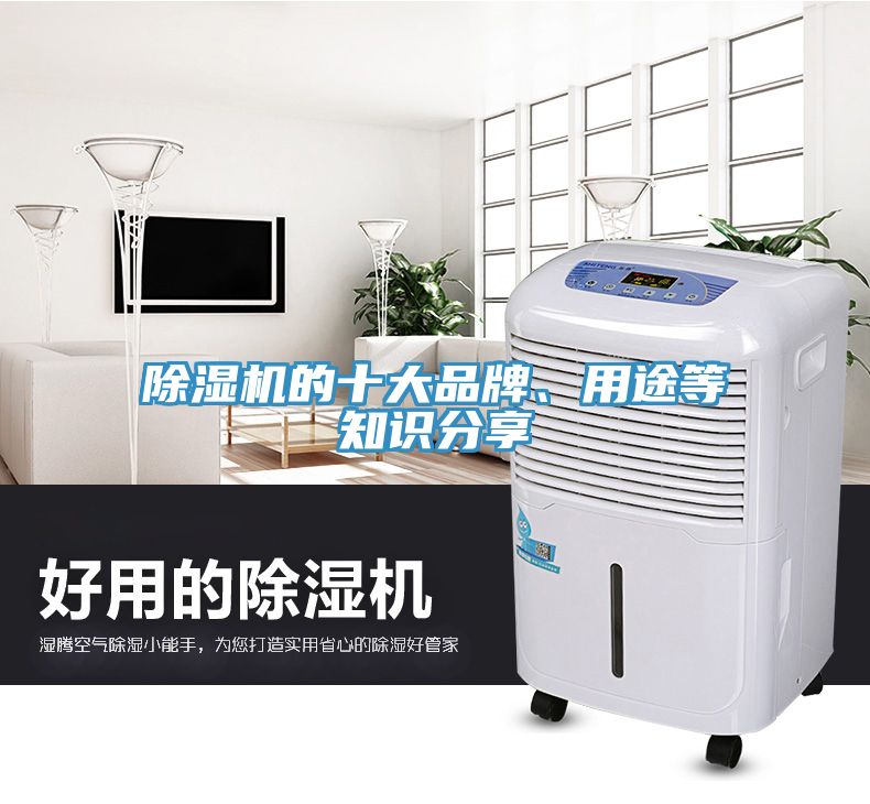 除濕機(jī)的十大品牌、用途等知識(shí)分享