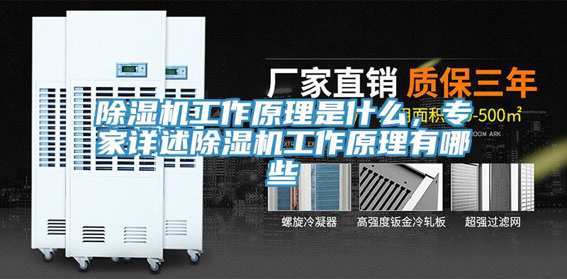 除濕機(jī)工作原理是什么，專(zhuān)家詳述除濕機(jī)工作原理有哪些