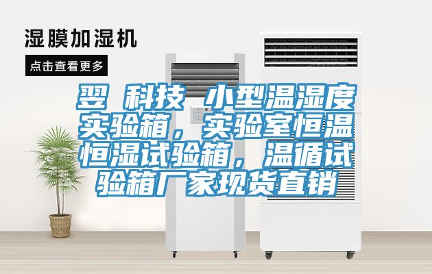 翌昇科技 小型溫濕度實(shí)驗(yàn)箱，實(shí)驗(yàn)室恒溫恒濕試驗(yàn)箱，溫循試驗(yàn)箱廠家現(xiàn)貨直銷