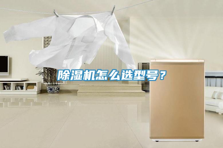 除濕機(jī)怎么選型號(hào)？