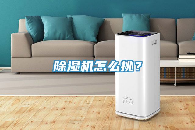 除濕機(jī)怎么挑？
